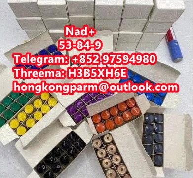 Nad+ Cas: 53-84-9 Factory Direct Sales, Good Quality And Low Price 